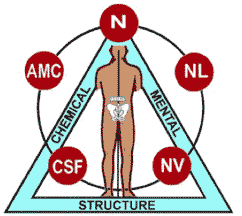 Procedures Uncover Emotional Side of Triad of Health